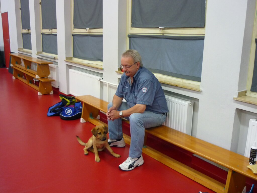 Vereinsmeisterschaft 11